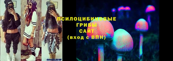 спайс Аркадак