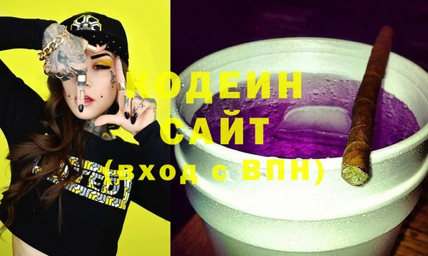 spice Дмитриев